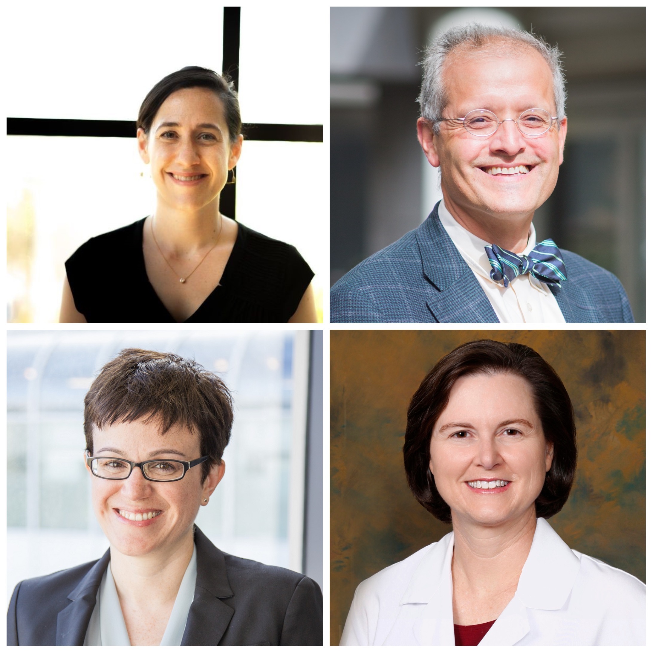 Drs. Anna Chodos, Edgar Pierluissi, Meredith Green and Louise Walter