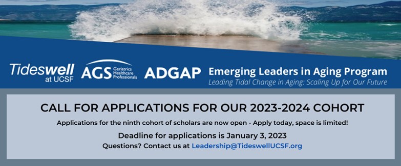 Call for Applications: Tideswell Emerging Leaders in Aging Program