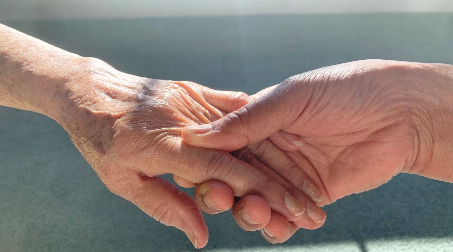 hands