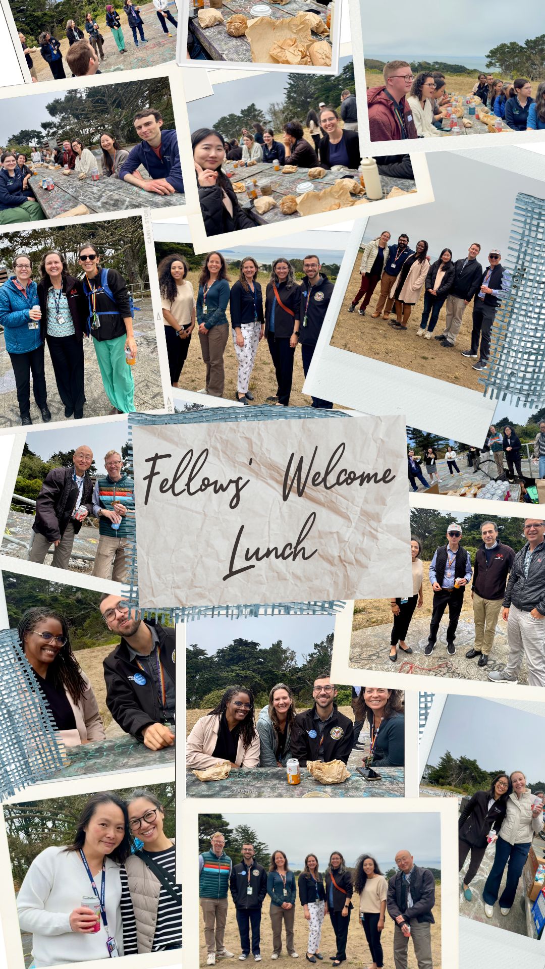 Fellows welcome lunch